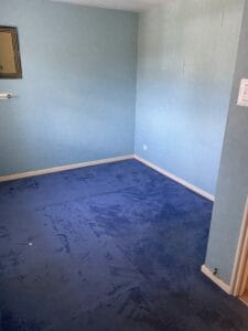 House Clearance Birmingham8 Garden Clearance An empty room with a blue carpet and blue walls, with no furniture, ready for deep cleaning as part of an end-of-tenancy or probate clearance.