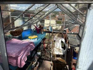 Garden Clearance West Midlands3 Garden Clearance An interior view looking out of a cluttered, glass-paned greenhouse. Inside, various gardening supplies, tools, and a pink sheet covering an object are scattered across tables. The glass structure frames a view of a densely packed residential neighborhood of brick homes stretching out under a partially cloudy sky.