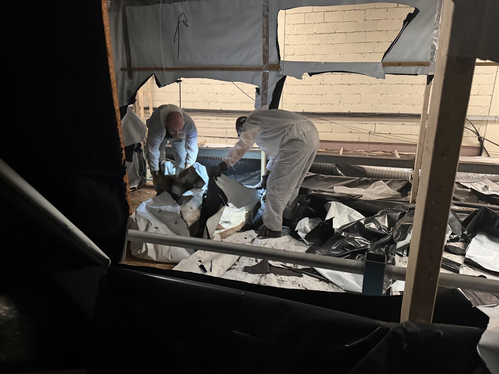 DrClear team in PPE stripping out a cannabis farm in the West Midlands